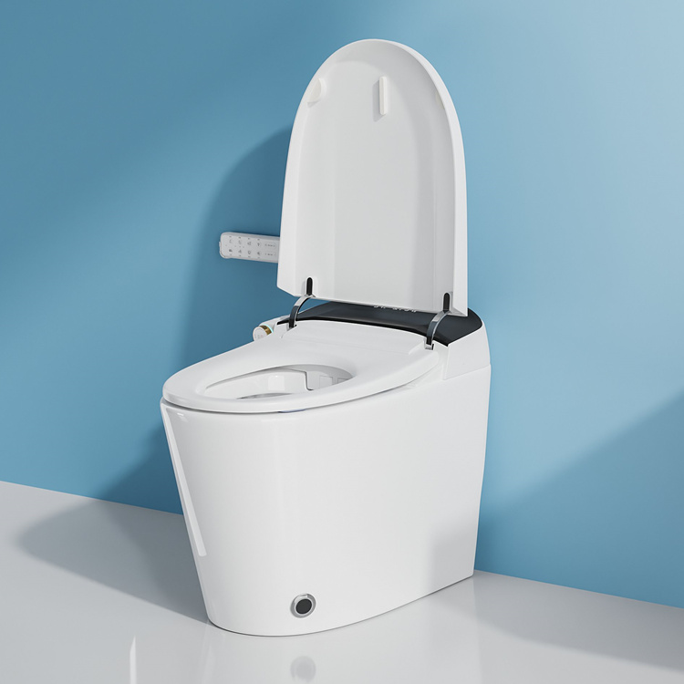 สุขภัณฑ์อัจฉริยะสำหรับตกแต่งบ้ - Home And Bathroom บทวิจารณ์และราคา